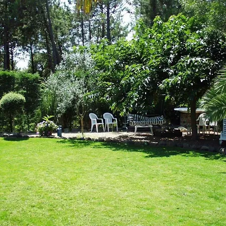 Beautiful Near Porto-vecchio With Garden And Wifi, 100 Metres Fr * Lecci